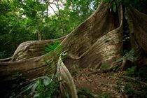 Buena Vista Lodge & Adventure GUANACASTE Bagian luar foto