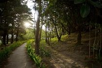 Buena Vista Lodge & Adventure GUANACASTE Bagian luar foto